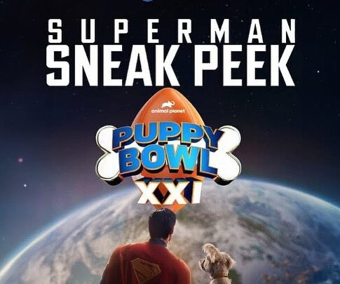 Superman au Puppy Bowl ? pas de quoi se réjouir